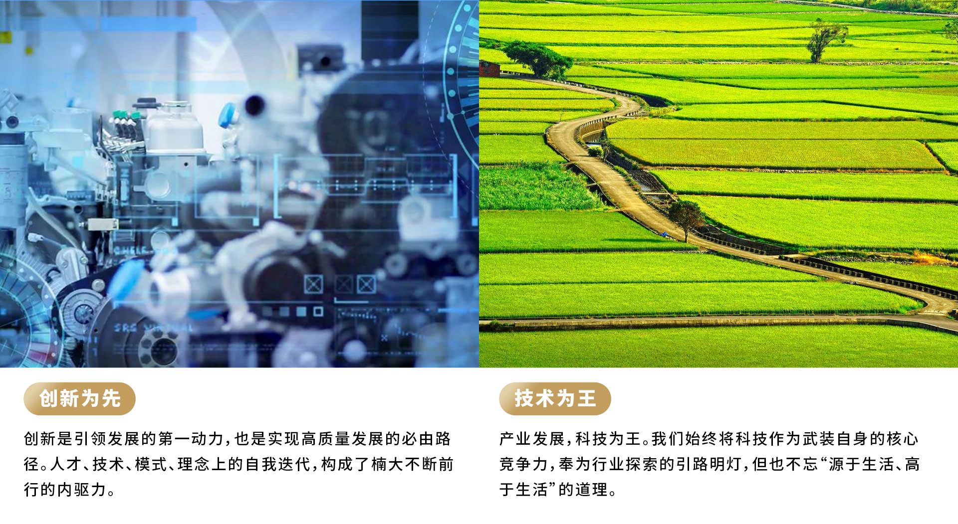 &#31859;&#20848;&#24179;&#21488;&#45;&#31859;&#20848;&#40;&#20013;&#22269;&#41;